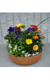 Bountiful Blooms
