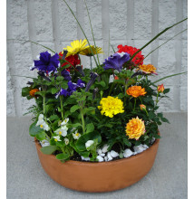 Bountiful Blooms