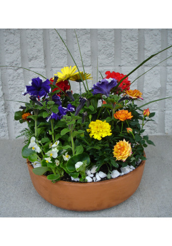Bountiful Blooms