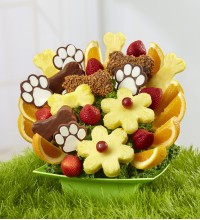 Bow Wow Bouquet by Fruit Bouquets