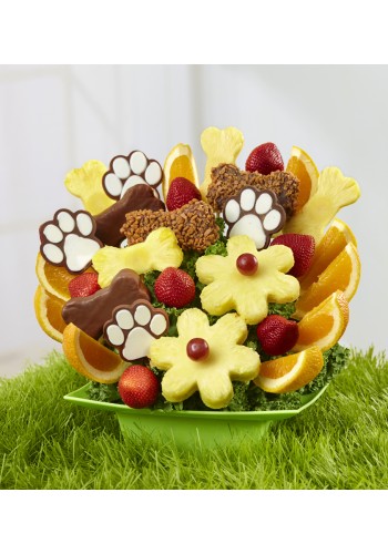Bow Wow Bouquet by Fruit Bouquets
