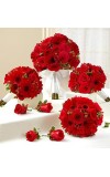 Bridal Party Personal Package - Red