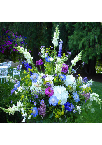 Butterfly Garden