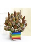 Confetti Fun by Fruit Bouquets