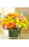 Cube Vase Fields of Europe