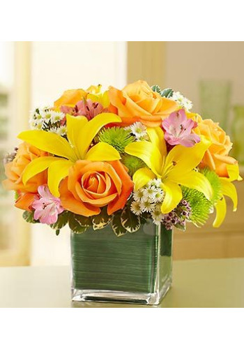 Cube Vase Fields of Europe
