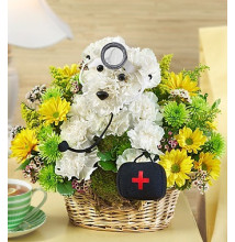 Doggie Howser M.D.â„¢