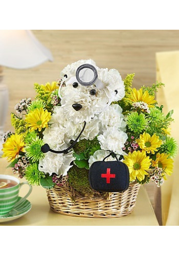 Doggie Howser M.D.â„¢