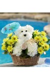 Doggie Paddleâ„¢