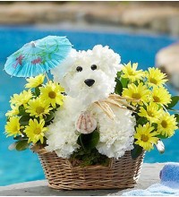 Doggie Paddleâ„¢