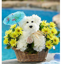 Doggie Paddleâ„¢