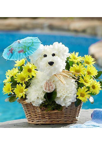 Doggie Paddleâ„¢