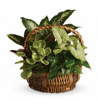 Emerald Garden Basket