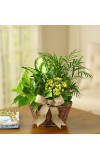 European Dish Garden