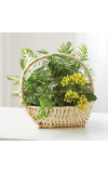 European Sympathy Dish Garden