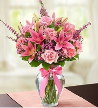 Expressions of Pinkâ„¢