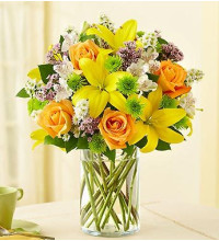 Fields of Europe in Cylinder Vase