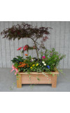 Garden Delight