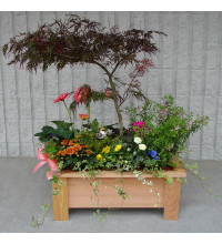 Garden Delight