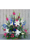 Sympathy For The Garden Glow