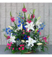 Sympathy For The Garden Glow
