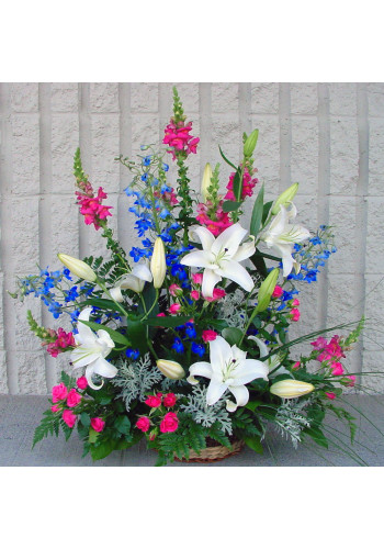 Sympathy For The Garden Glow
