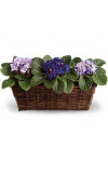 Garden To Go Basket
