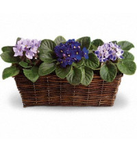 Garden To Go Basket