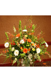 Gerbera Garden