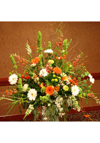 Gerbera Garden