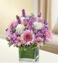 Sympathy For The Healing Tears - Lavender andamp White