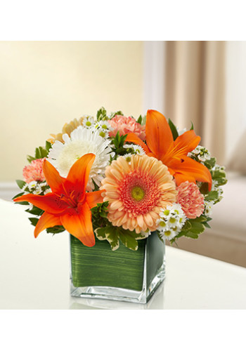 Sympathy For The Healing Tears - Peach, Orange andamp White