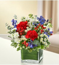 Sympathy For The Healing Tears - Red, White andamp Blue