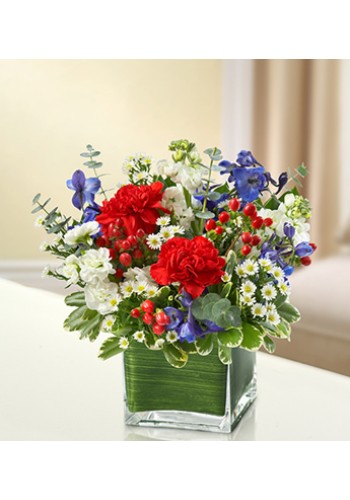 Sympathy For The Healing Tears - Red, White andamp Blue