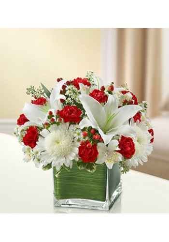 Sympathy For The Healing Tears - Red andamp White