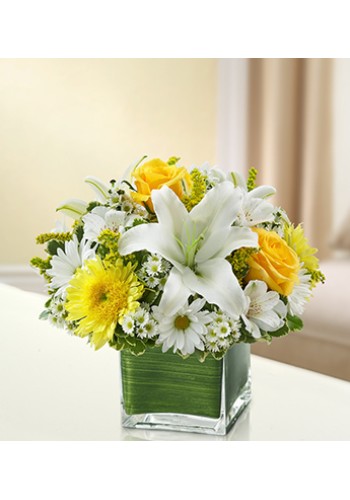 Sympathy For The Healing Tears - Yellow andamp White