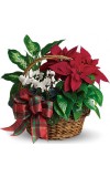  Holiday Homecoming Basket