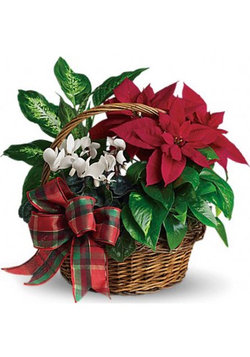  Holiday Homecoming Basket