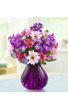 Lavender Dreamsâ„¢