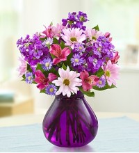 Lavender Dreamsâ„¢