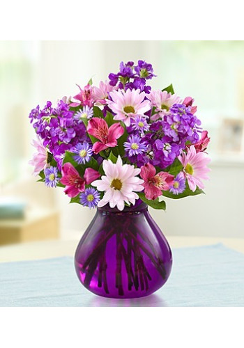 Lavender Dreamsâ„¢