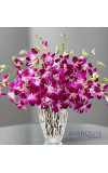 Luxurious Exotic Breezeâ„¢ Orchids
