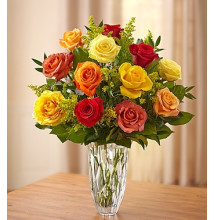 Marquis by WaterfordÂ® - Premium Fall Roses