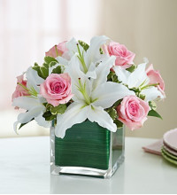 Modern Embrace Pink Rose andamp Lily Cube