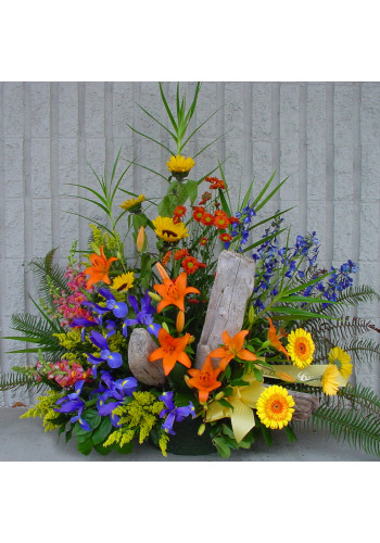 Pacific Garden
