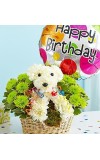 Party Animalâ„¢