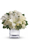 Peace andamp Joy Bouquet