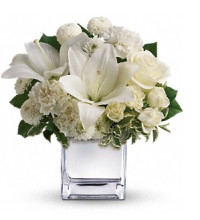 Peace andamp Joy Bouquet