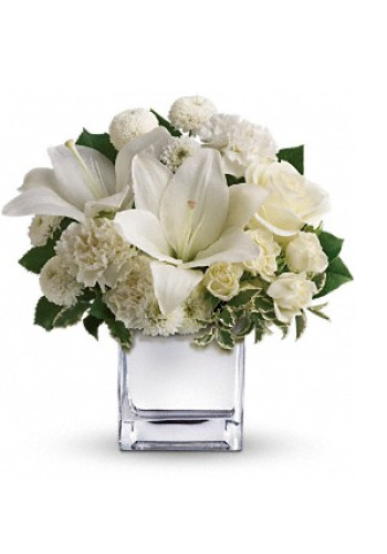 Peace andamp Joy Bouquet
