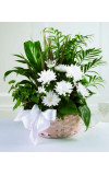 Peaceful Garden Basket